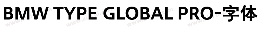 BMW Type Global Pro字体转换 BMW Type Global Pro字体转换